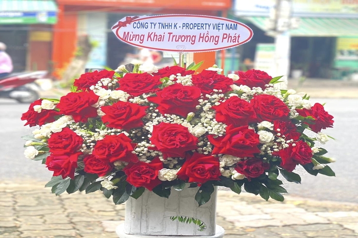 Tin tuc K-Property/tin-tuc-k-property/khai-truong-frieslandcampina.jpg